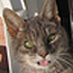 Profile Picture of Cindy Stanger (@cindy's babies) on Flickr
