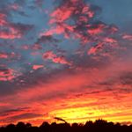 Profile Picture of lisa (@lisavanderlinden_xx) on Instagram