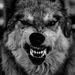 Profile Picture of Pat Marinho Coelho (@patcmcoelho) on Pinterest