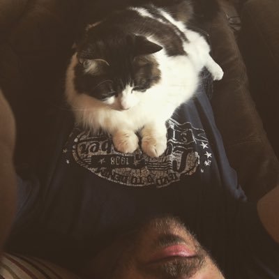 Profile Picture of Tom Dring (@hippopunk) on Twitter