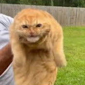 Profile Picture of NICHOLAS GIFFORD (@nicholasgifford9830) on Youtube