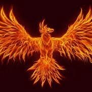Profile Picture of David_toti (@davidtoti2) on Twitter