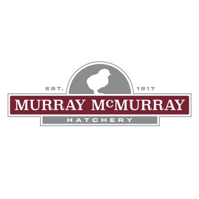 Profile Picture of McMurray Hatchery (@MurrayMcMurray) on Twitter