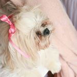 ruth zamudio - Instagram Profile Picture of ruth zamudio (@zamudio663) on Instagram