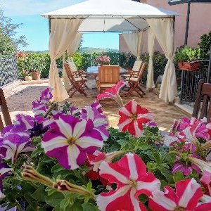 Profile Picture of B&B Palazzo Mestichelli (@b_mestichelli) on Twitter