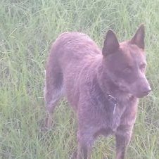 Profile Picture of Tp-980 (@TonyPurvis1) on Twitter