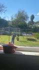 Profile Picture of   Makayla Stewart... (@makayla.stewart98) on Tiktok
