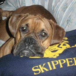 Profile Picture of Brian Lake (@bayman_brian) on Twitter