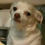 Profile Picture of Benjamin Joaquin (@_definitelynotacriminal) on Instagram