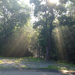 Profile Picture of Lori Pigg (@loripigg) on Flickr