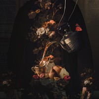 Profile Picture of James Pearls  (@james-pearls) on Quora