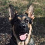 Profile Picture of davidkeithpack (@davidkeithpack) on Instagram