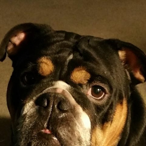 Profile Picture of Bob Lasnetski (@team23x) on Poshmark