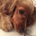 Profile Picture of Héléne saint Laurent (@helenesaintlaurent) on Instagram