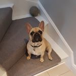 Profile Picture of farrahmcfeely (@kevinmcfeely2019) on Instagram