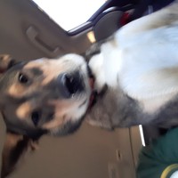 Profile Picture of Sean Thiel (@sean-thiel-4) on Quora