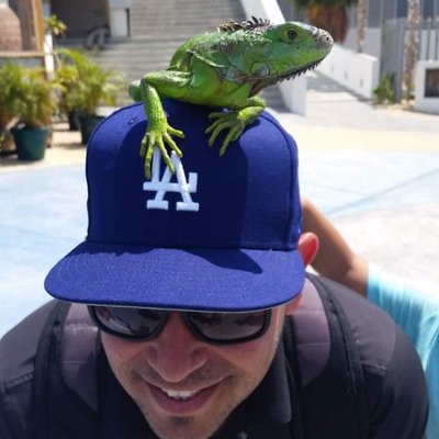 Profile Picture of Steven De Haro (@sdeharo1979) on Twitter