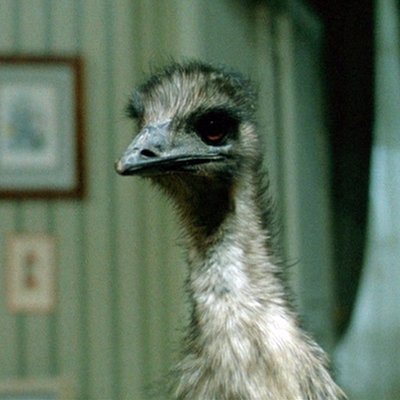 Profile Picture of The Pink Smoke (@thepinksmoke) on Twitter