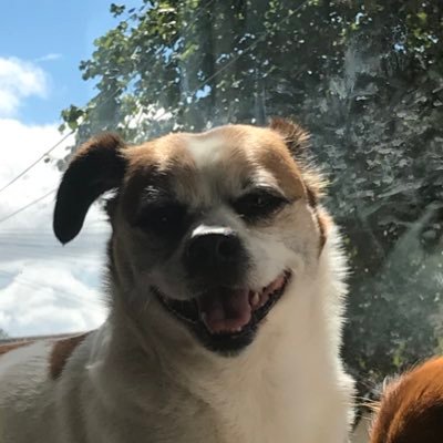 Profile Picture of Lara Keys (@keys_lara) on Twitter