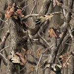 Profile Picture of Colin newhouse (@newhousecolin) on Instagram