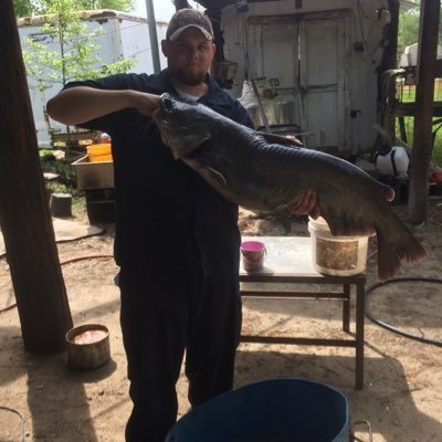 Profile Picture of Jerry Ransom (@jerry_ransom) on Twitter