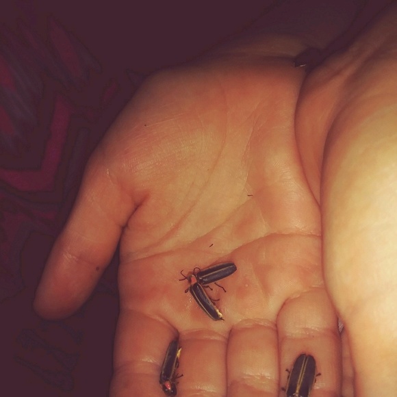 Profile Picture of Serena Kriner (@serenak83) on Poshmark