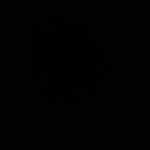 Profile Picture of caseylongstreet (@caseylongstreet) on Instagram