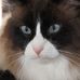 Profile Picture of Karen Weirick Martin (@karen.w.martin.315) on Facebook
