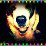Profile Picture of Peggy N Bryan Ebert (@blepje4) on Instagram