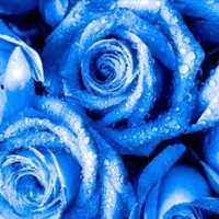 Profile Picture of Jasmin Egan (@jasmin-egan-2) on Quora