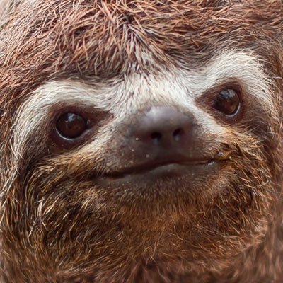 Profile Picture of Mike Devine (@mikethedevine) on Twitter