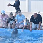 Profile Picture of Khloe Brooks (@_k.brooks_24) on Instagram