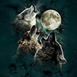 Profile Picture of Juan Melendrez (@bru_its_juan_21) on Instagram