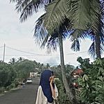 Profile Picture of Wawan Mandor (@dewi_sandra___dws) on Instagram