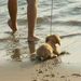 Profile Picture of Shannon Dunlap (@shandee) on Pinterest
