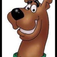 Profile Picture of David Maccormack Toland (@david-maccormack-toland) on Quora