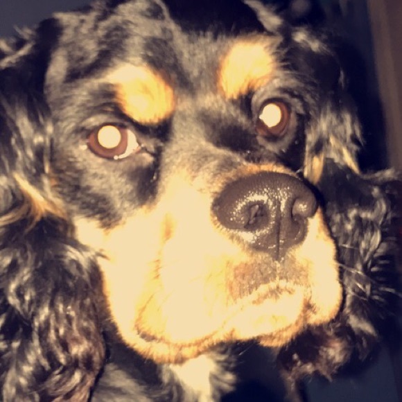 Profile Picture of Owen Birkland (@owenb5) on Poshmark