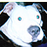 Profile Picture of Rory.keith@sbcglobal.net (@rory.keith@sbcglobal.net) on Flickr