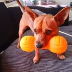 Profile Picture of Adele Haddock (@adele.haddock.7) on Facebook