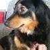 Profile Picture of Kerstin Höckerbloch (@kerstin.bloch.3) on Facebook
