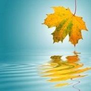 Profile Picture of Cindy Sanchez (@cindyjune58) on Pinterest