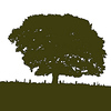 Profile Picture of Bowerdale (@Bowerdale) on Flickr