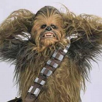 Profile Picture of Brian Halicki (@BrianEdHalicki) on Twitter