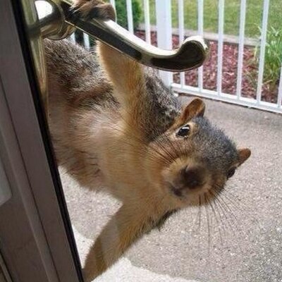 Profile Picture of Barry Gonzalez (@carlos0880) on Twitter