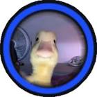 Profile Picture of   Kevin Smithers(@shambooyah)... (@shambooyah) on Tiktok