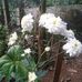 Profile Picture of Josh Varghese (@subi.varghese.3154) on Facebook