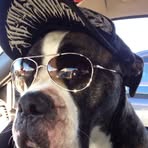 Profile Picture of Thomas Wedge (@thomas.wedge.39) on Facebook