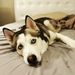 Profile Picture of Brenden Pooley (@brendenpooley) on Pinterest