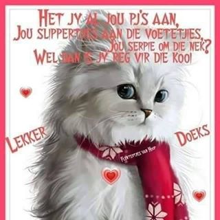 Profile Picture of Shaun Breytenbach (@shaun.breytenbach.79) on Facebook