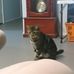 Profile Picture of Debra Saron (@debra.saron.7) on Facebook